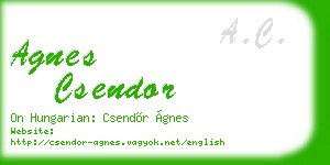 agnes csendor business card